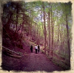hiking in the escarpment